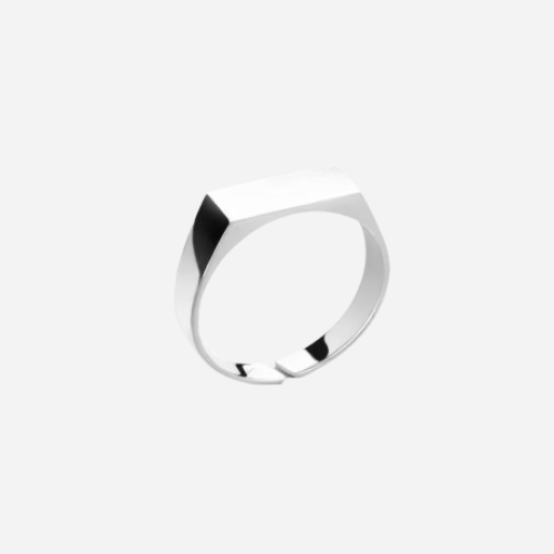 Signet ring (Silver)