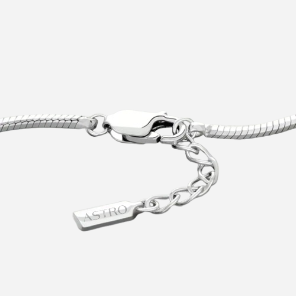 Snake Bracelet 2mm (Silver)